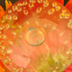 Image for article titled Refraction Shooting Challenge Gallery 1